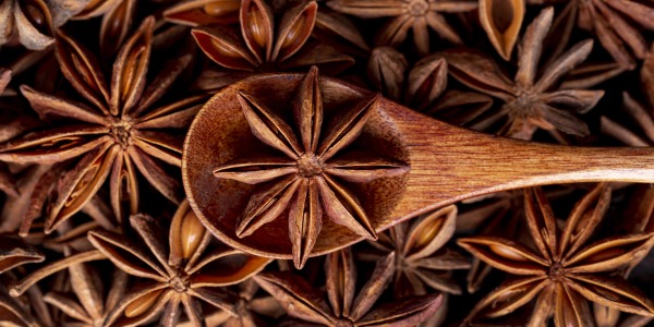 Анасон ползи